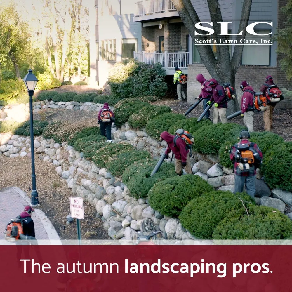 Custom yard cleanup service in Maple Plain, MN by Scott's Lawn Care