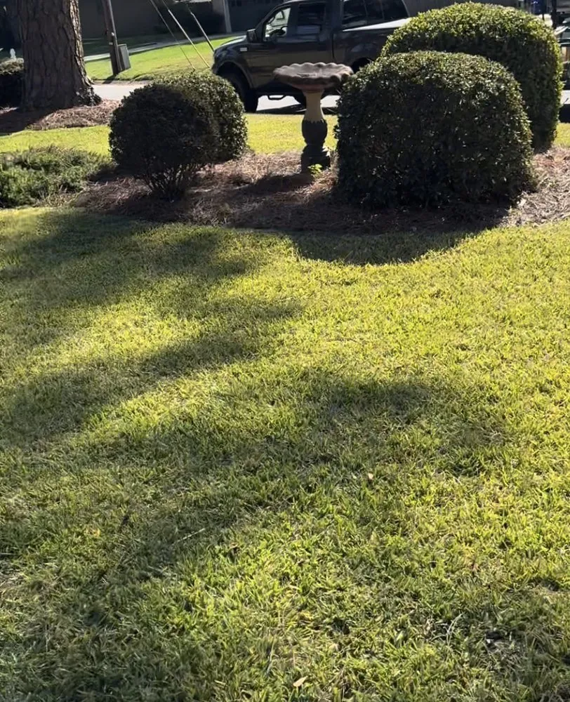 Reliable lawn care service experts serving Portsmouth, VA - Scotts Lawn Care