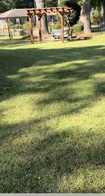 Scotts Lawn Care Logo