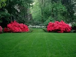 Trusted outdoor landscaping in Pinson, AL - Scott's Lawn Care Service