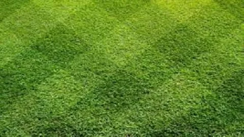 Local landscape installation experts serving Pinson, AL - Scott's Lawn Care Service