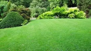 Affordable outdoor landscaping near you in Pinson, AL by Scott's Lawn Care Service