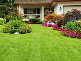 Affordable landscaping services in Pinson, AL by Scott's Lawn Care Service