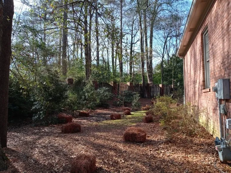Custom yard maintenance experts serving Pinson, AL - Scott's Lawn Care Service