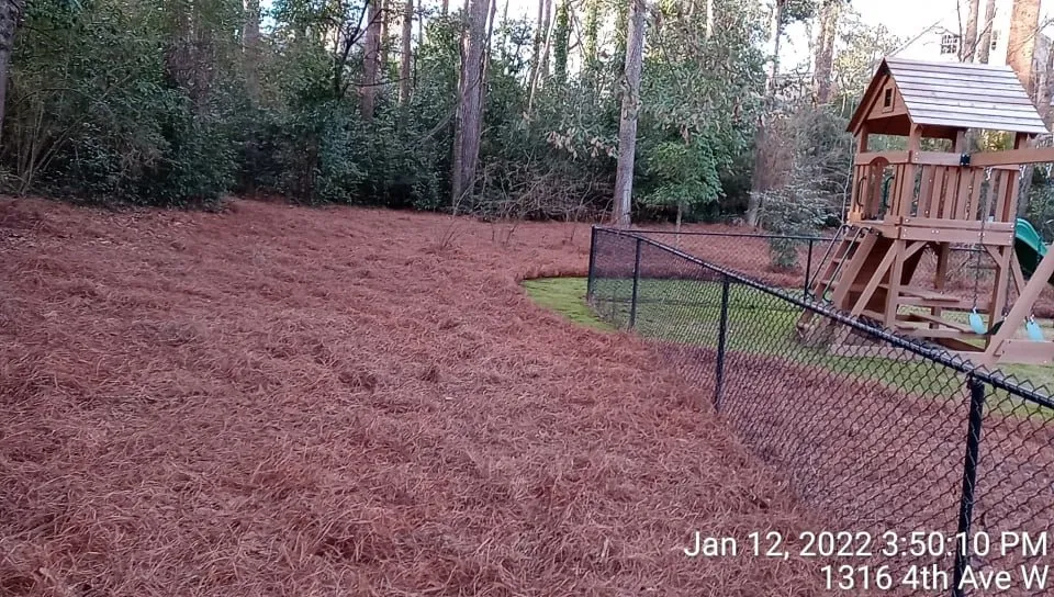 Affordable yard maintenance for residential properties in Pinson, AL by Scott's Lawn Care Service