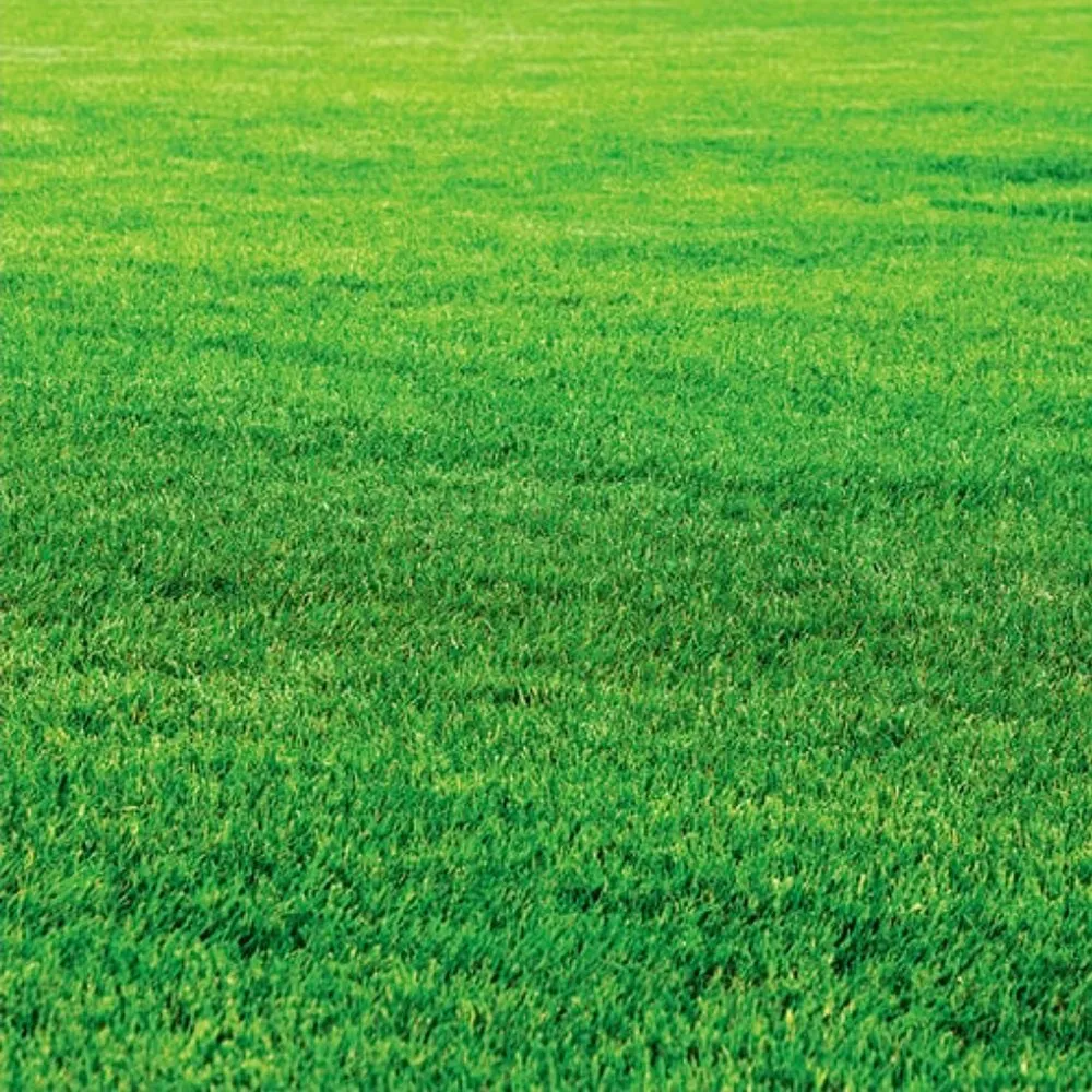 Custom lawn mowing service for residential properties across Princess Anne, MD - Scotts lawn Service