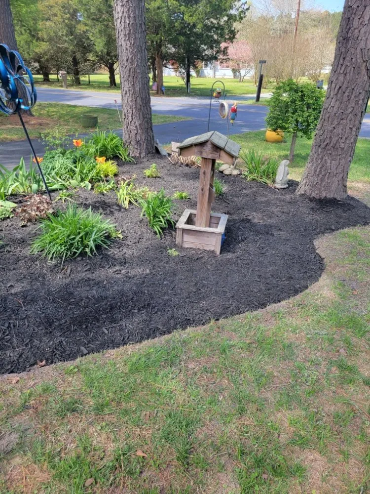 Local residential landscaping for residential properties in Princess Anne, MD by Scotts lawn Service