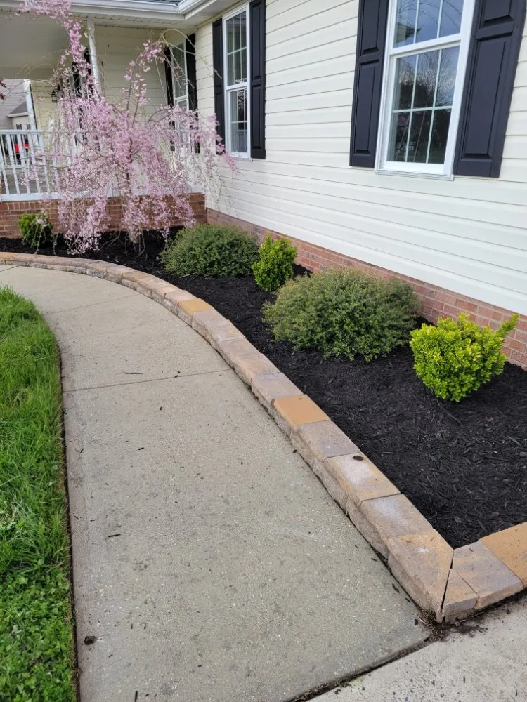 Affordable yard cleanup service for year-round maintenance in Princess Anne, MD by Scotts lawn Service