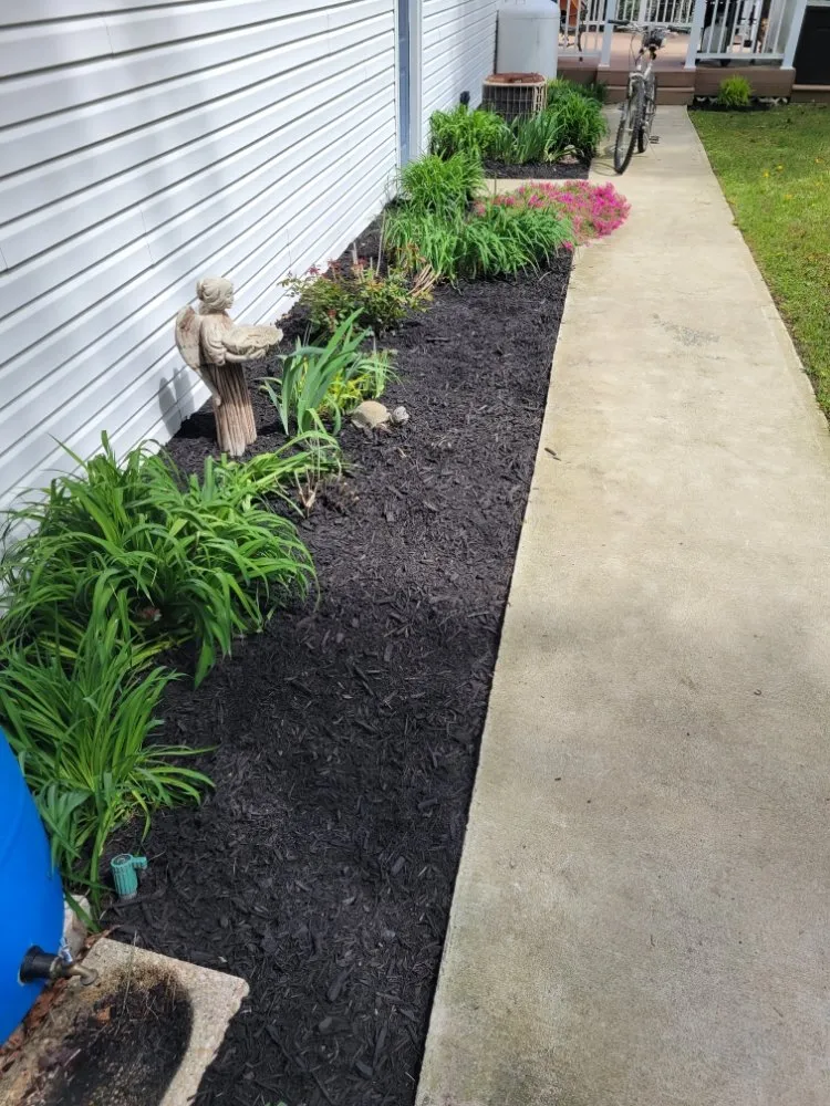 Top-rated yard maintenance for outdoor upgrades in Princess Anne, MD by Scotts lawn Service