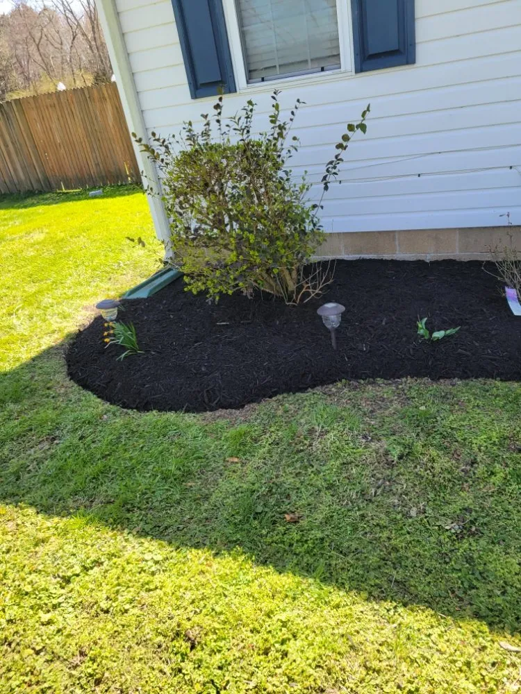 Professional outdoor landscaping for outdoor upgrades across Princess Anne, MD - Scotts lawn Service