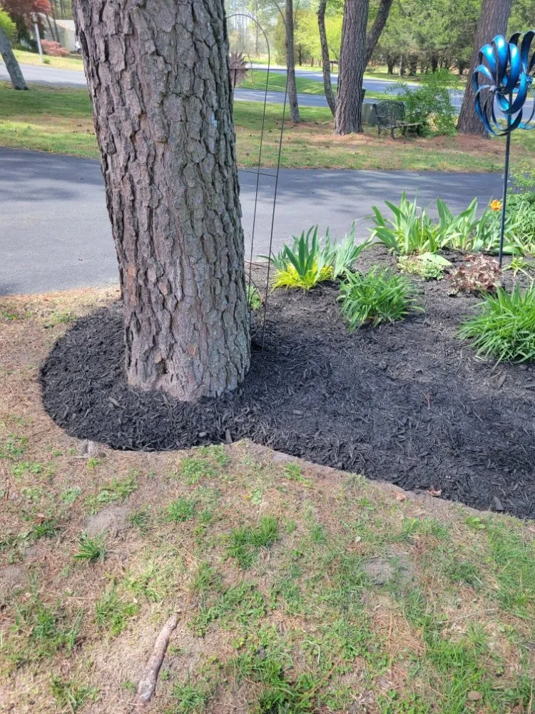 Custom landscape installation for homes across Princess Anne, MD - Scotts lawn Service