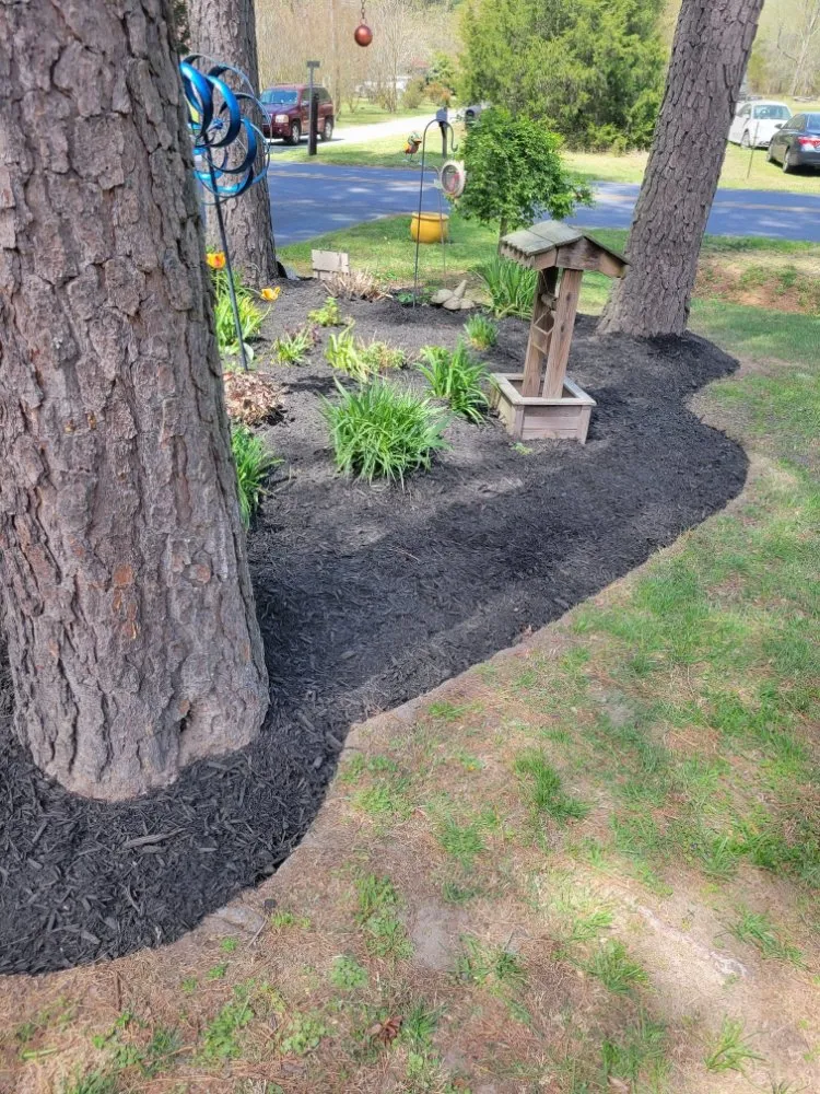 Professional landscape installation for beautiful yards across Princess Anne, MD - Scotts lawn Service