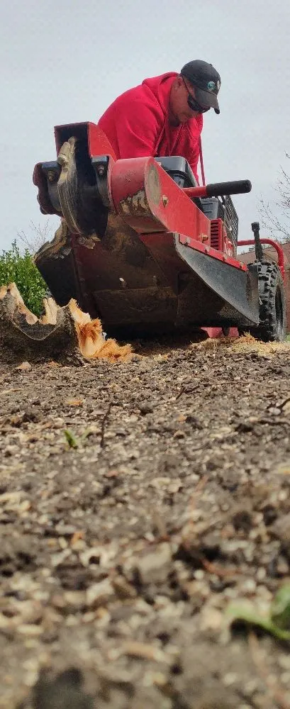 Expert landscape design for year-round maintenance across Reynoldsburg, OH - Scott's Lawn Service