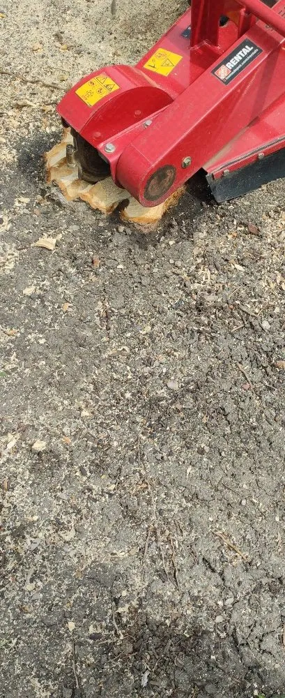 Trusted landscape installation experts serving Reynoldsburg, OH - Scott's Lawn Service