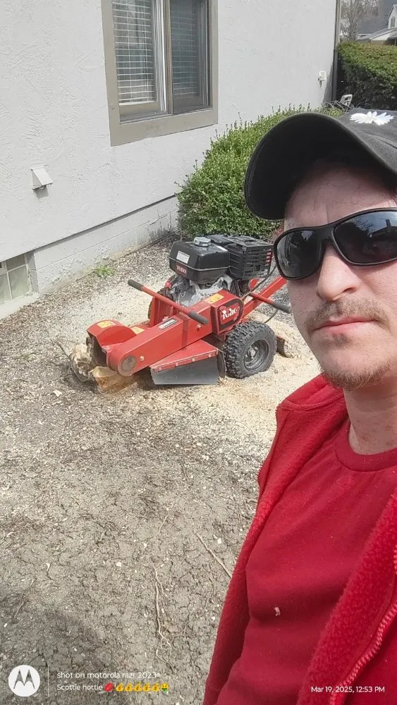 Expert garden landscaping for outdoor upgrades in Reynoldsburg, OH by Scott's Lawn Service