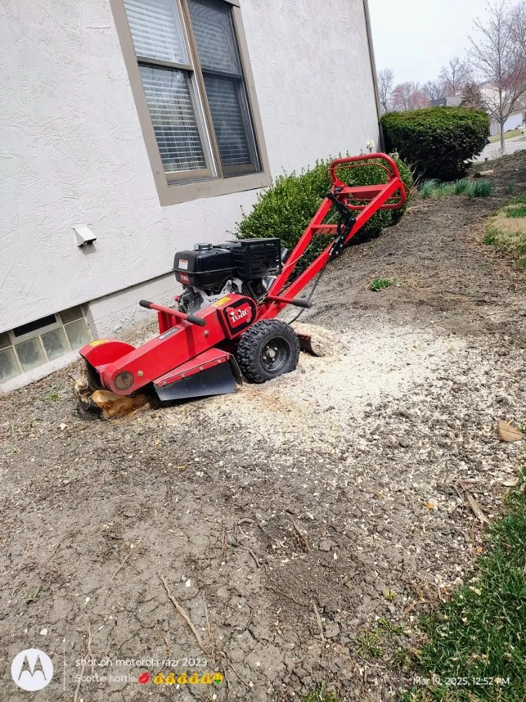 Local garden landscaping near you in Reynoldsburg, OH by Scott's Lawn Service