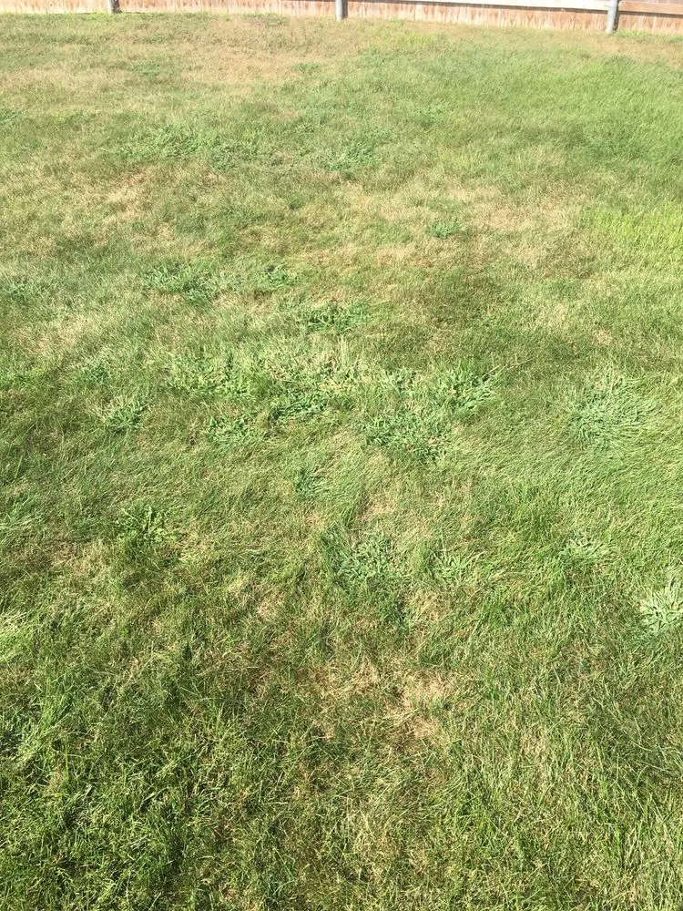 Top-rated landscape installation for outdoor upgrades in Raynham, MA by Scotts LawnService