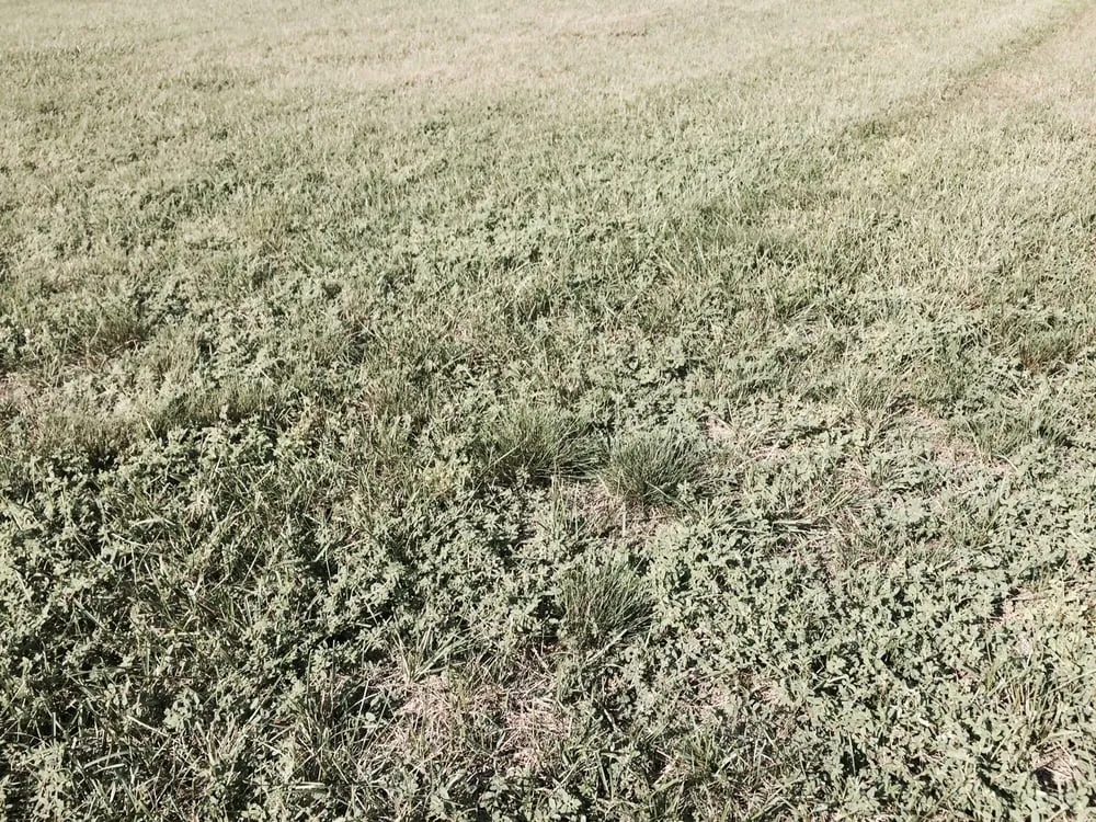 Custom garden landscaping for beautiful yards across Raynham, MA - Scotts LawnService