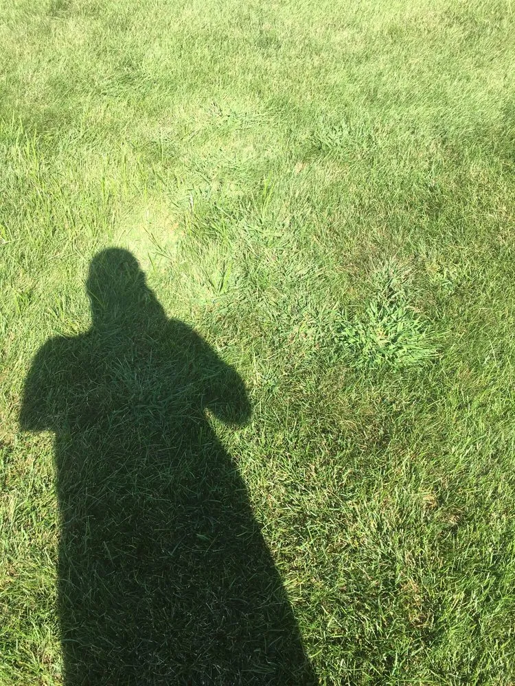 Affordable landscape installation in Raynham, MA - Scotts LawnService