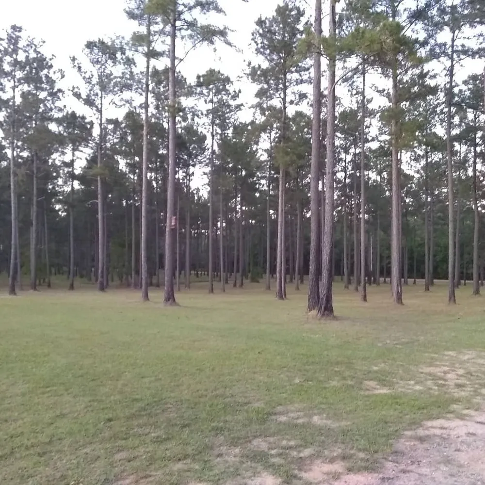 Top-rated lawn care service for outdoor upgrades across Hawkinsville, GA - Scott's Mowing & Lawn Care