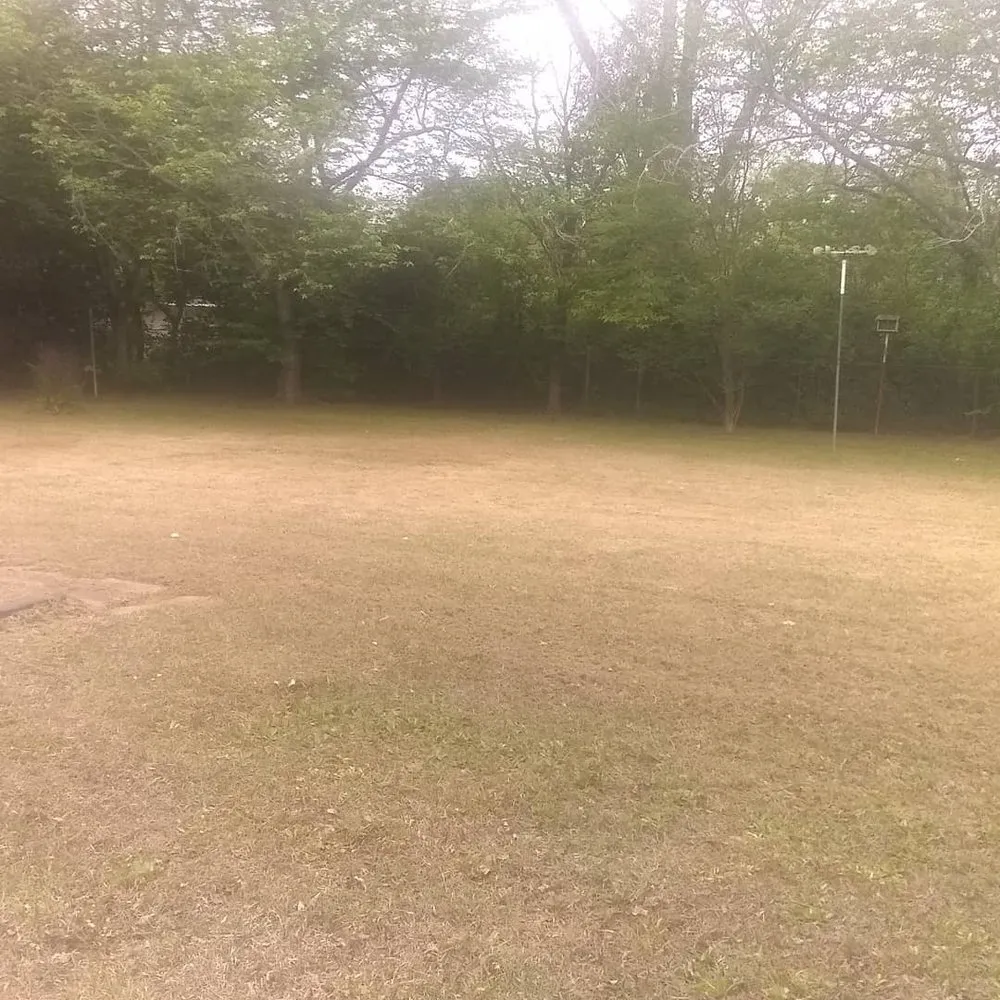 Reliable yard maintenance in Hawkinsville, GA - Scott's Mowing & Lawn Care