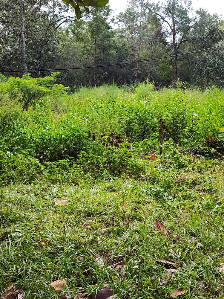 Expert residential landscaping for outdoor upgrades in Ponce de Leon, FL by Scott's Odd Jobs