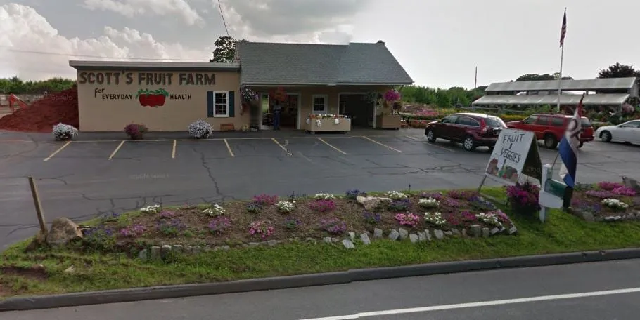 Trusted outdoor landscaping experts serving Glastonbury, CT - Scott's Orchard & Nursery