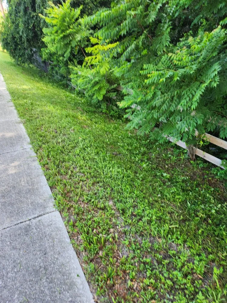 Custom lawn care service in Orange City, FL by Scott's Outdoor Solutions