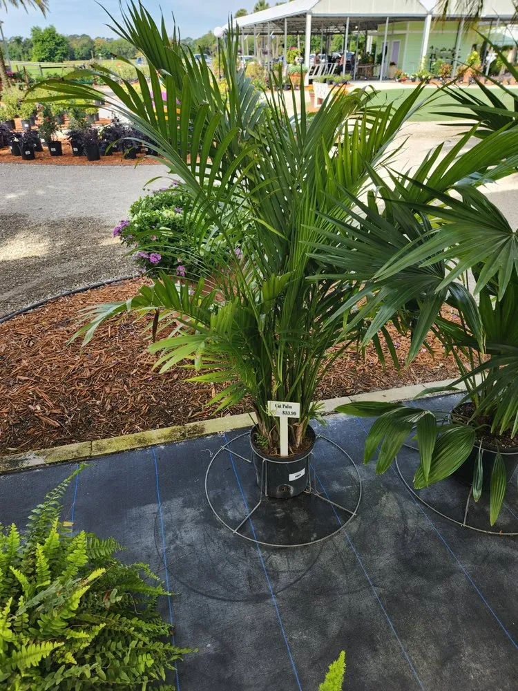 Expert landscape design near you across Orange City, FL - Scott's Outdoor Solutions