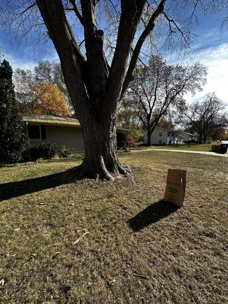 Affordable landscaping services for homes in Delano, MN by Scott's Services