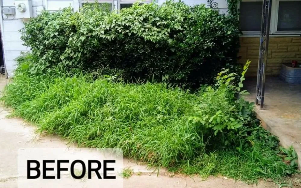 Professional outdoor landscaping near you across Mustang, OK - Scott's Sprinkler