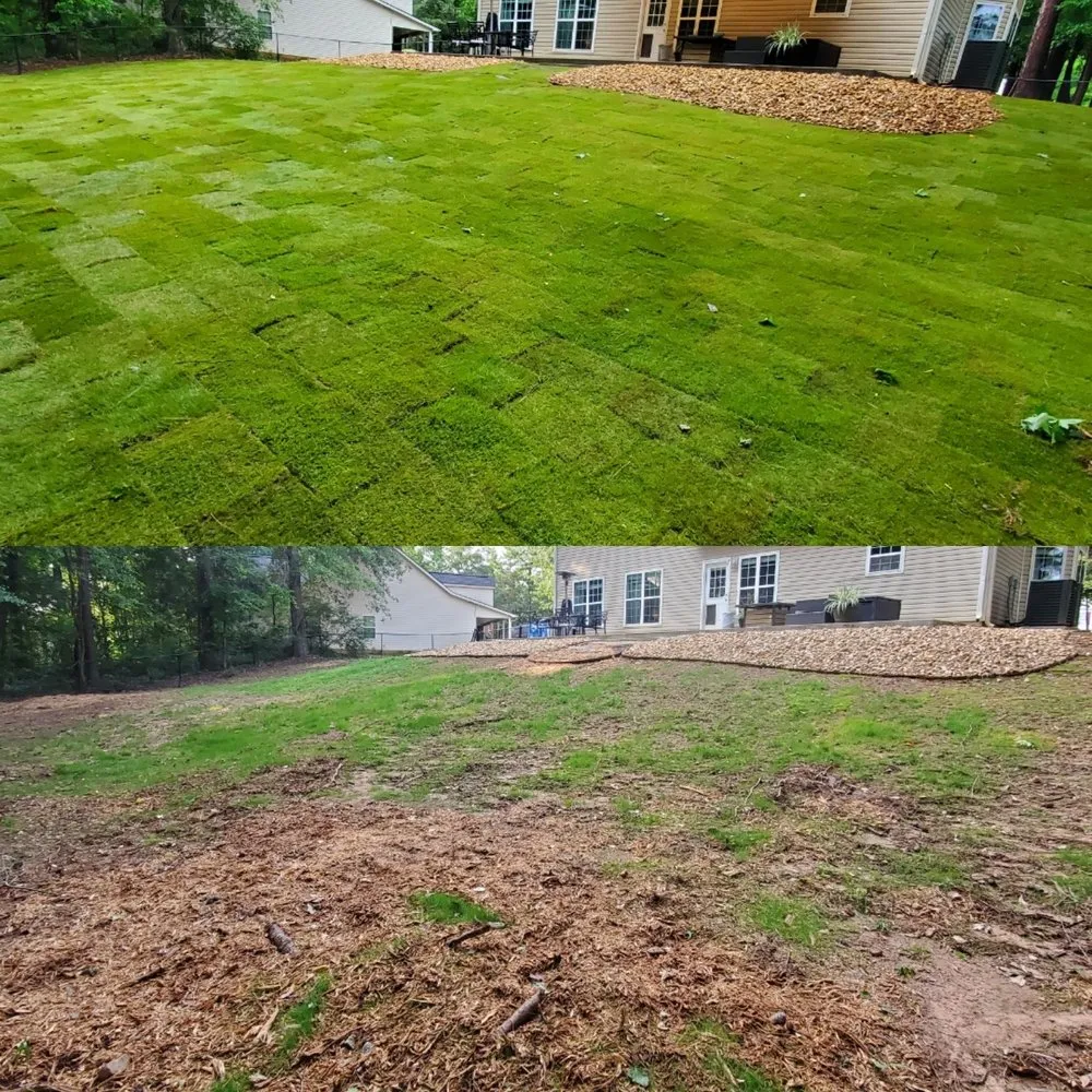 Affordable residential landscaping experts serving Hampton, GA - Scotts Stump & Lawn Service