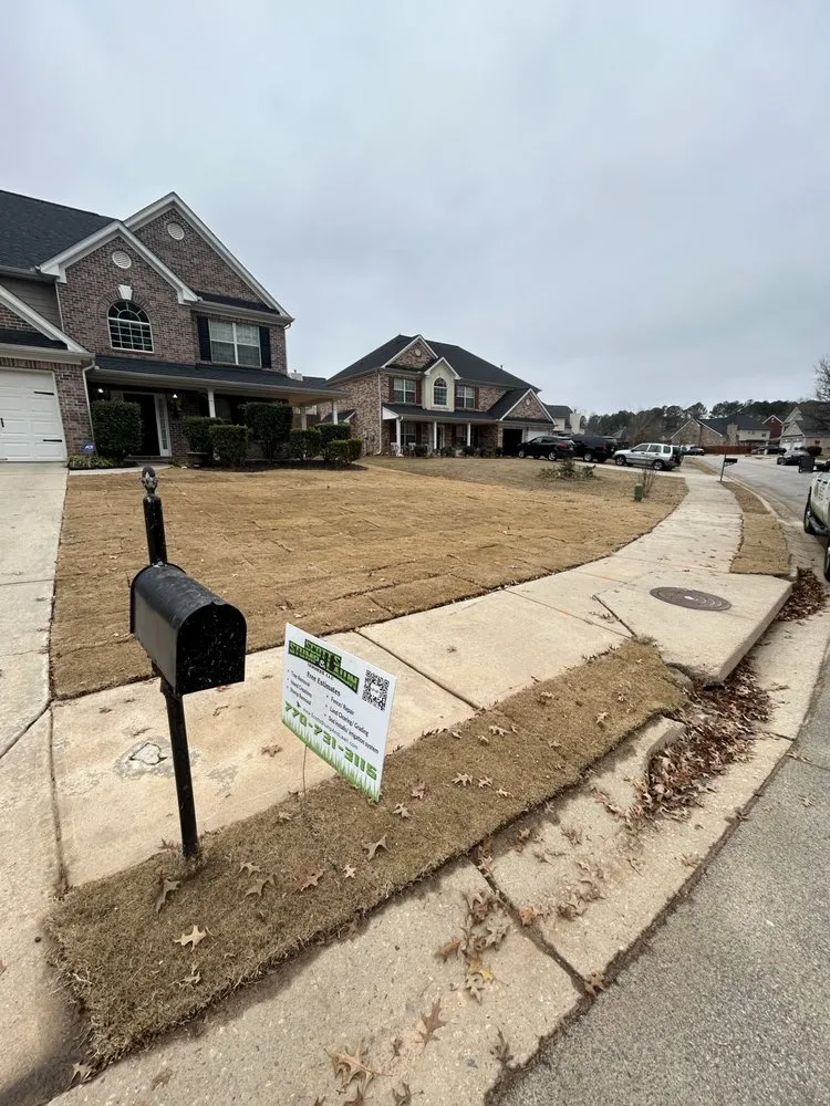 Reliable outdoor landscaping experts serving Hampton, GA - Scotts Stump & Lawn Service