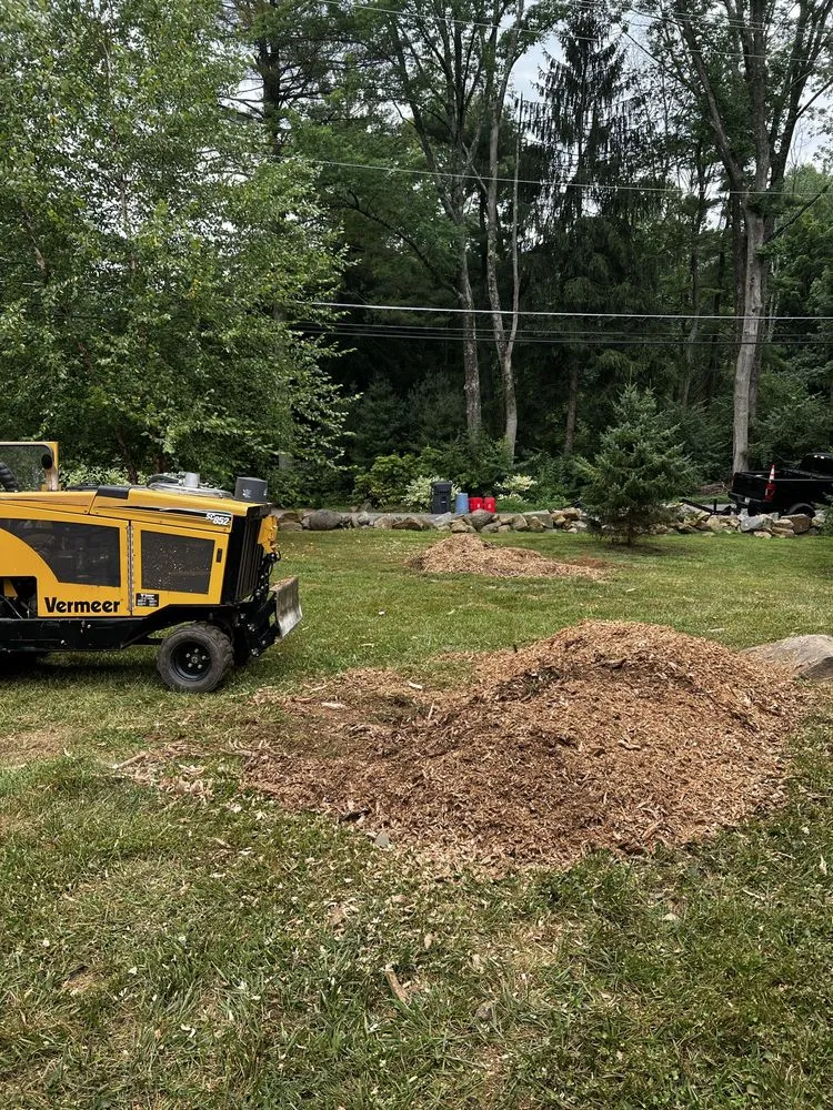 Reliable lawn care service for beautiful yards in Skippack, PA by Scott's Stump Grinding