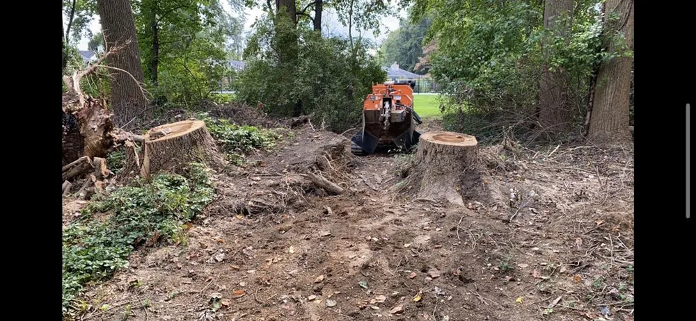 Top-rated lawn care service for outdoor upgrades in Skippack, PA by Scott's Stump Grinding