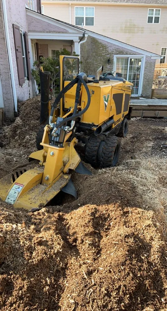 Professional garden landscaping with custom design in Skippack, PA by Scott's Stump Grinding