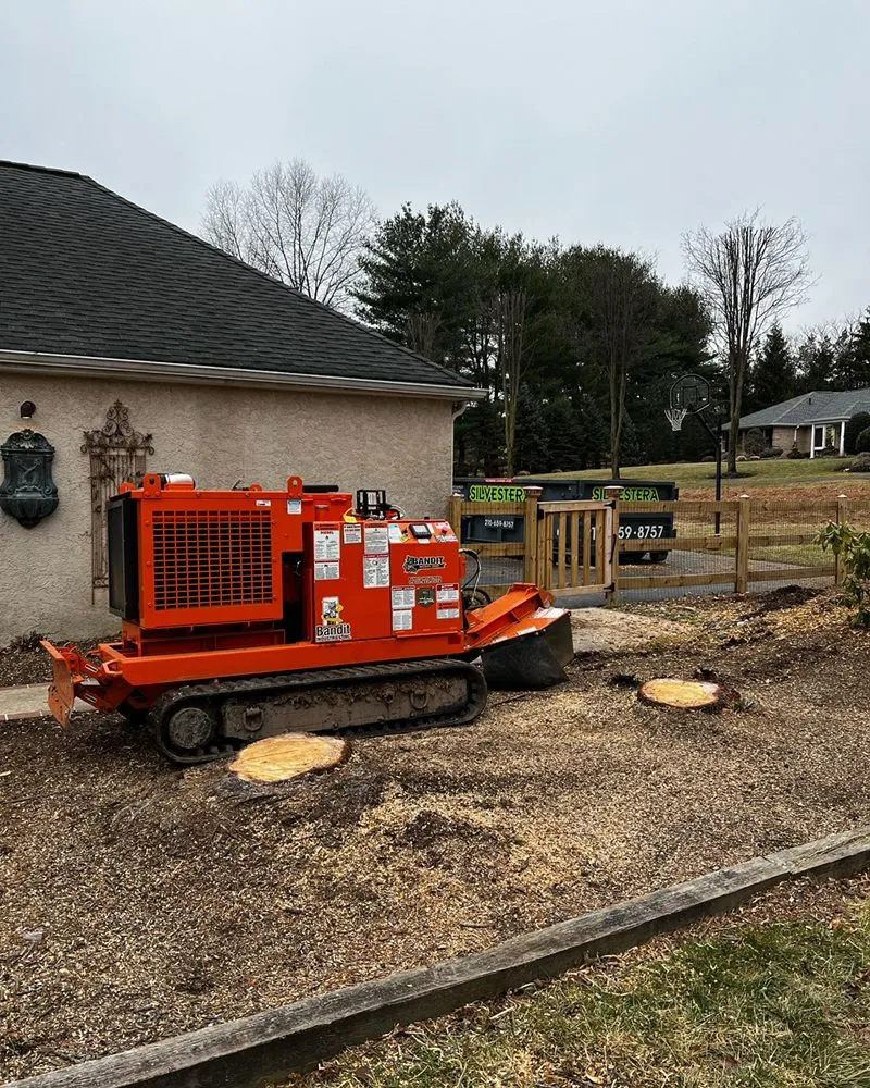 Custom landscape installation for outdoor upgrades across Skippack, PA - Scott's Stump Grinding