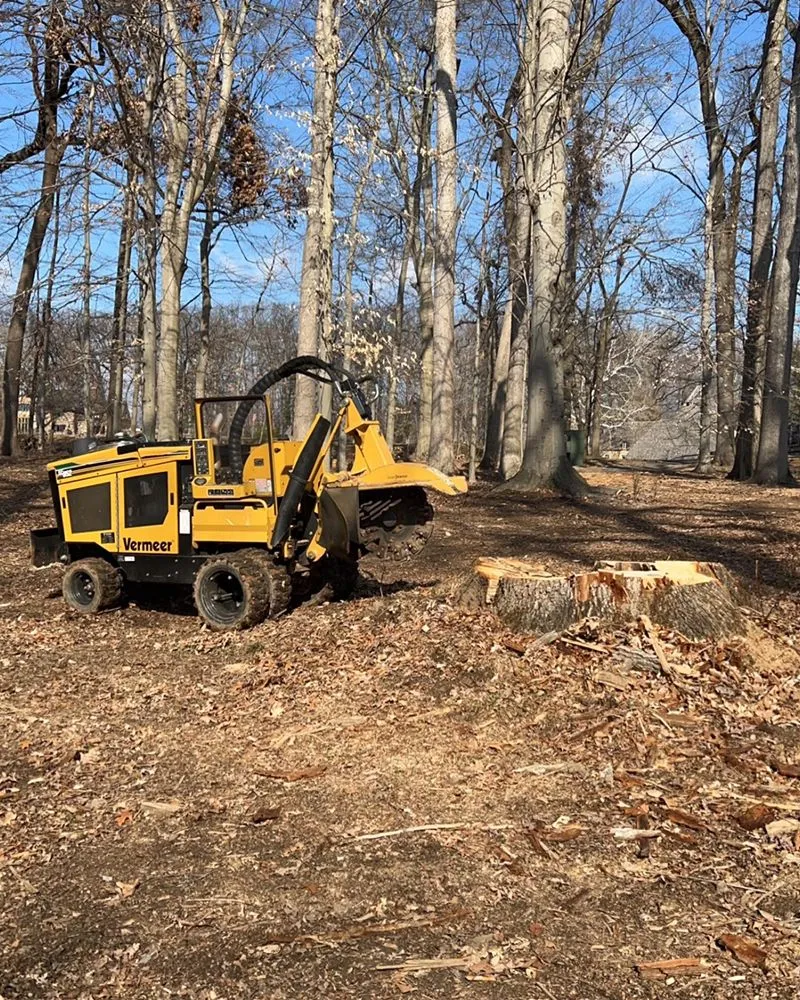 Trusted landscape installation experts serving Skippack, PA - Scott's Stump Grinding