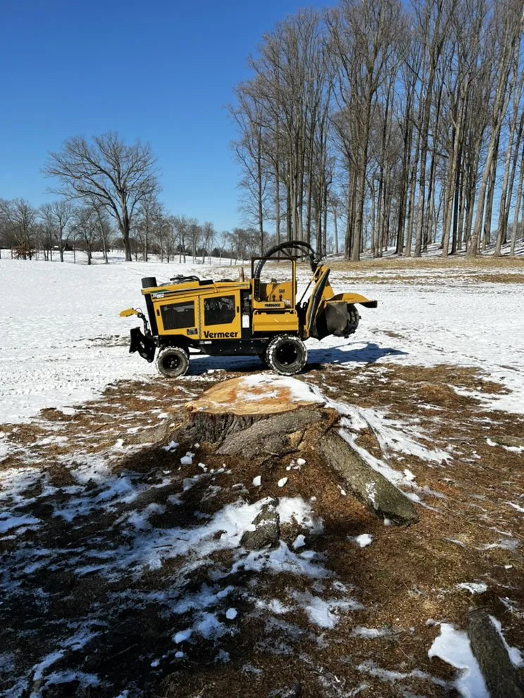 Reliable residential landscaping in Skippack, PA by Scott's Stump Grinding