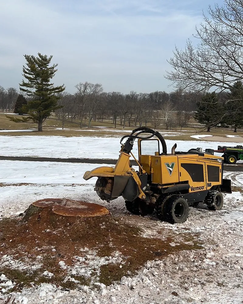 Top-rated lawn mowing service for outdoor upgrades across Skippack, PA - Scott's Stump Grinding