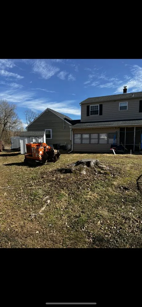 Affordable outdoor landscaping experts serving Skippack, PA - Scott's Stump Grinding