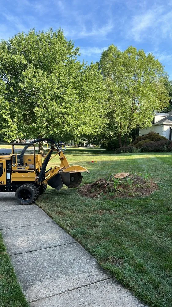 Top-rated yard cleanup service with custom design across Skippack, PA - Scott's Stump Grinding