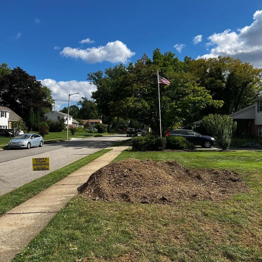 Affordable landscape design experts serving Skippack, PA - Scott's Stump Grinding