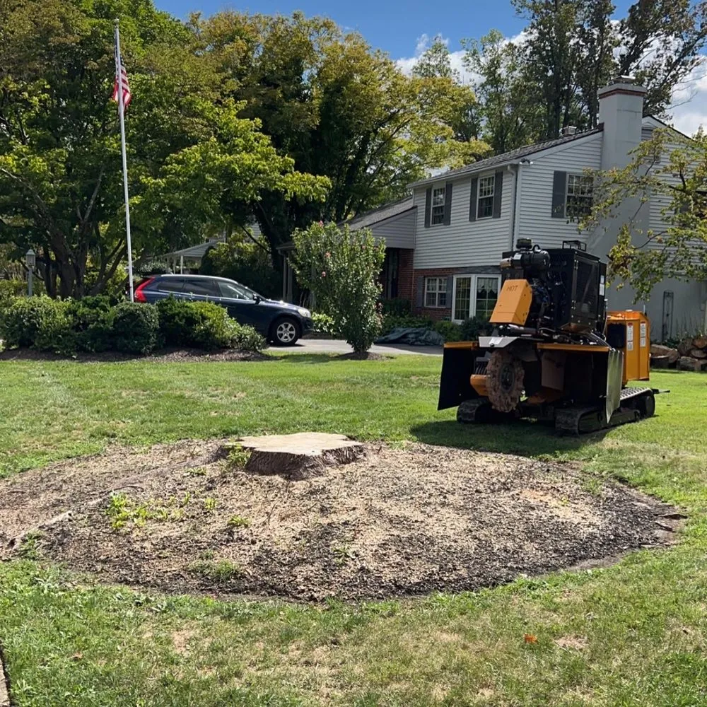 Affordable landscaping services for residential properties across Skippack, PA - Scott's Stump Grinding