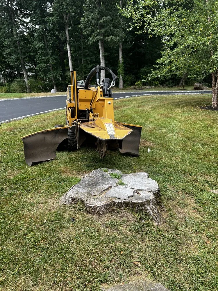 Expert garden landscaping for beautiful yards across Skippack, PA - Scott's Stump Grinding