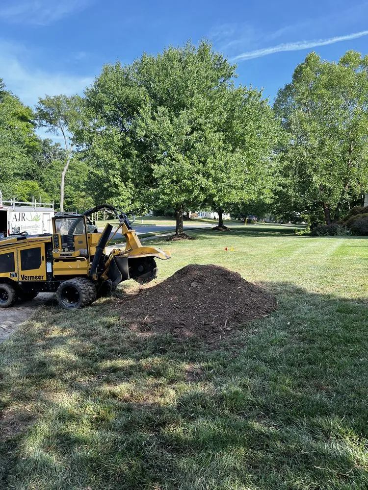 Professional yard maintenance in Skippack, PA by Scott's Stump Grinding