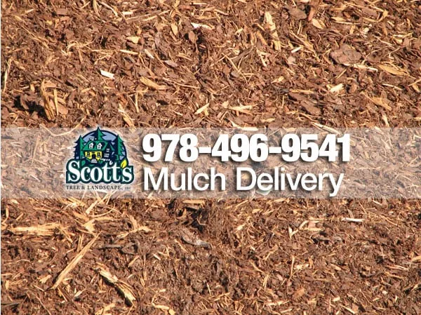 Affordable landscape installation experts serving Westford, MA - Scott's Tree & Landscape
