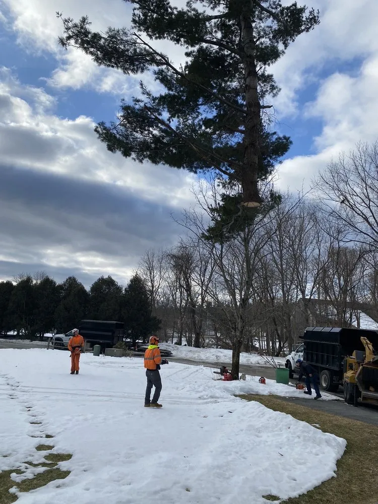 Professional landscape installation near you in Westford, MA by Scott's Tree & Landscape