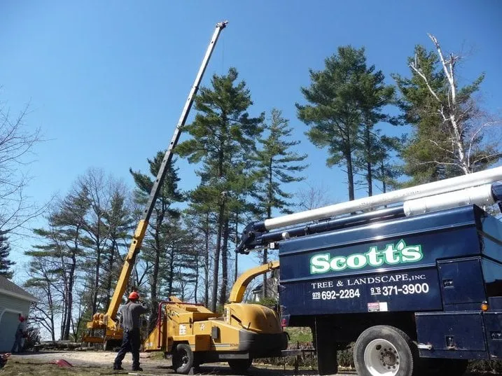 Trusted lawn mowing service in Westford, MA - Scott's Tree & Landscape