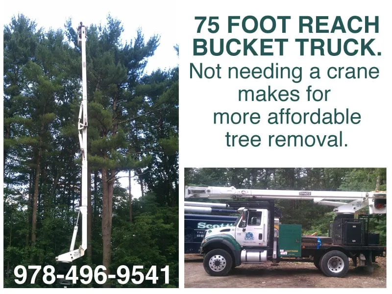 Custom yard maintenance in Westford, MA by Scott's Tree & Landscape